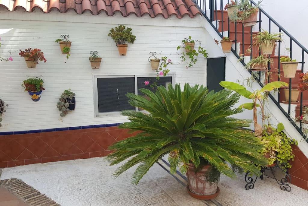 Sevilla A Tus Pies Mairena del Aljarafe Kültér fotó